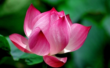 Không bị nhiễm ô